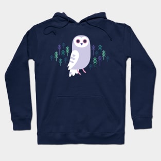 Winter Owl Hoodie